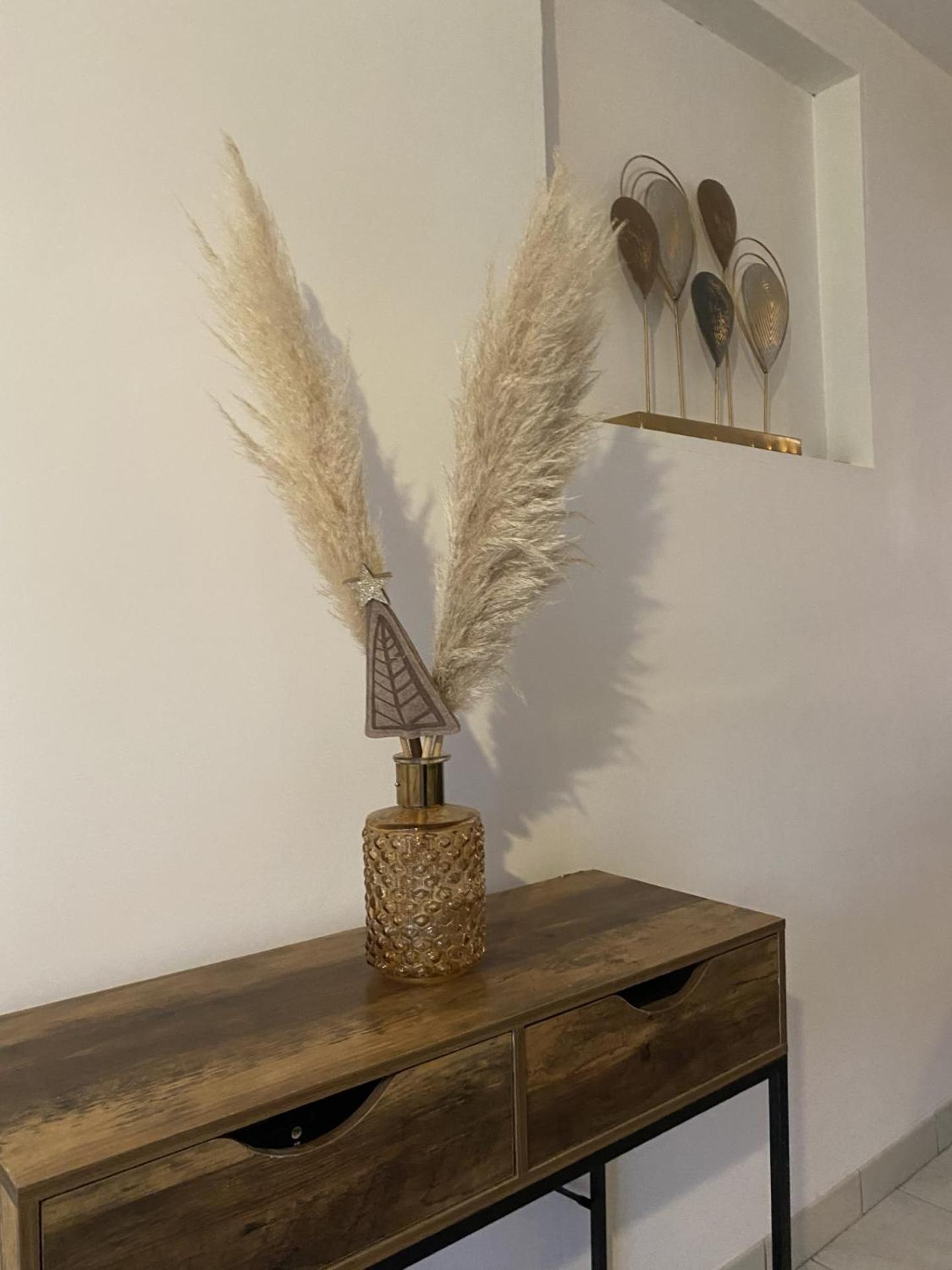 Saix  Appartement Tout Equipe 2 Chambres + Jardin מראה חיצוני תמונה